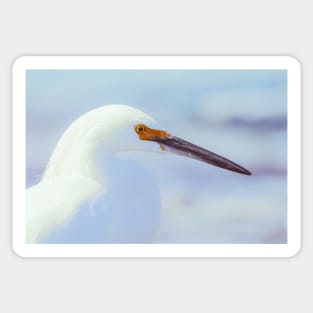 Heron Portrait Sticker